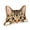 A002- B, variant on Wooden Peeking Cat Ornament with Hand-Painted Ginger Tabby Design, Single Piece, Orange and White, for Cat Lovers, Desk Decoration