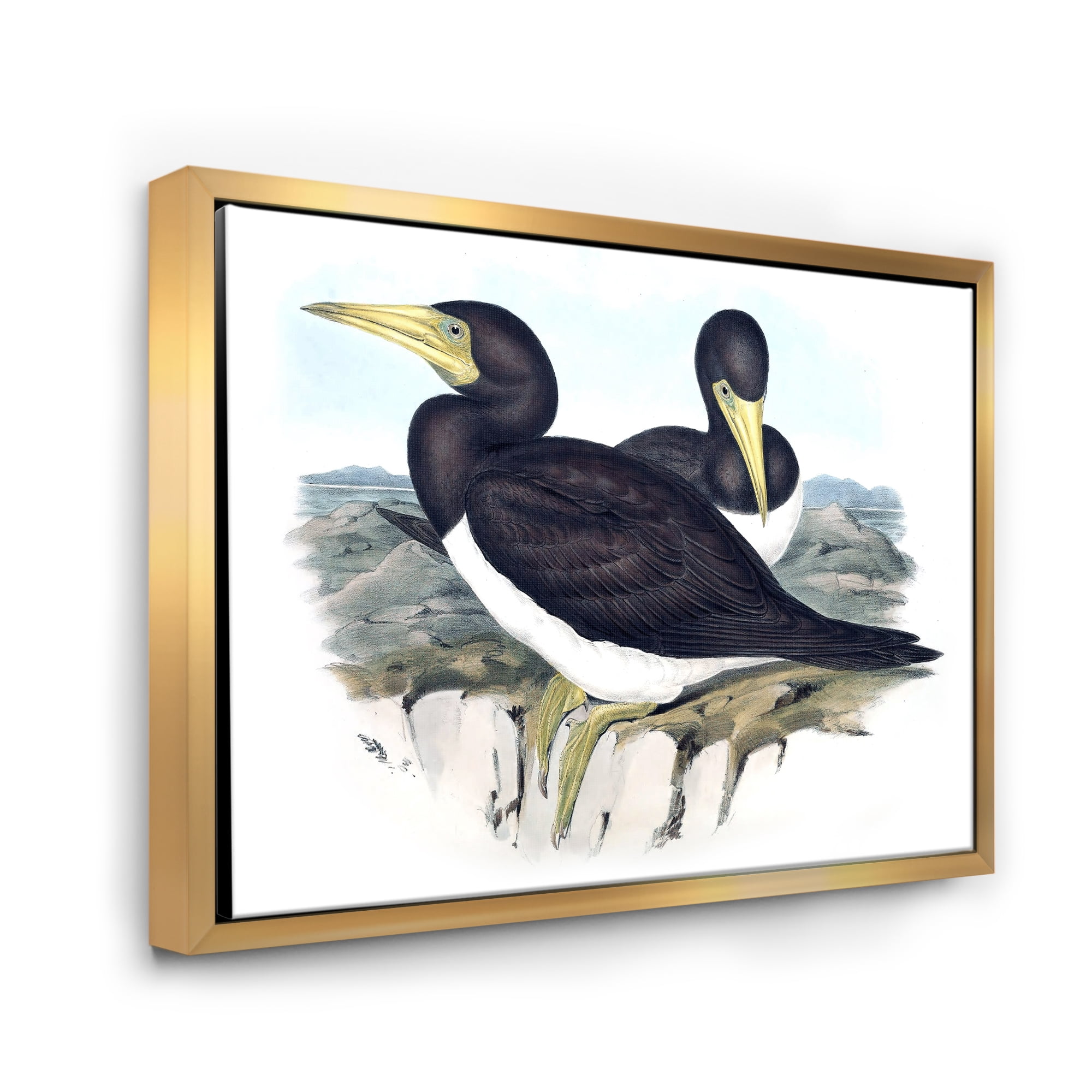 Designart 'Ancient Australian Birds XII' Traditional Framed Canvas Wall Art Print
