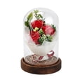 thumbnail image 1 of La luz LED de flores artificiales ilumina la rosa en la cúpula de cristal para la Navidad del Día de la Madre Rojo Zulema Rosa simulada, 1 of 8