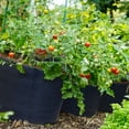 thumbnail image 4 of FCMP Outdoor 5 Gal Modern Non Woven Breathable Grow Bags, Multicolor (5 Pack), 4 of 10