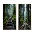 thumbnail image 2 of Designart "Muir Woods National Monument in the USA I" Usa Framed Wall Art Set Of 2 - Green Landscapes Frame Gallery Set For Office Decor, 2 of 7