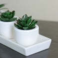 thumbnail image 2 of Northlight 3" Succulent Artificial Potted Plant Table Top Decoration - Green/White, 2 of 2