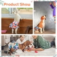 thumbnail image 7 of BRKURLEG Washable Dog Diapers 3pcs, Highly Absorbent Female Diapers, No Leak Reusable Dog Sanitary Panties for Doggie Heat Period Incontinence Excitable Urination, 7 of 7