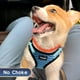 thumbnail image 2 of Set de arnés y correa para perros YIMEIS reflectante ajustable azul, 2 of 8