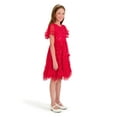 thumbnail image 2 of Kensie Girl Sequin Mesh Short Sleeve Dress, Sizes 4-16, 2 of 7