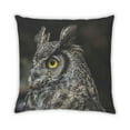 thumbnail image 2 of Ahgly Company Animals Owl Indoor Throw Pillow, 18 inch by 18 inch, 2 of 6