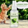 thumbnail image 3 of Catnip Spray for Cats Portable Fun for Indoor Cats and Kittens Interactive, 3 of 8