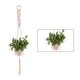 thumbnail image 1 of Bearachild Cestas colgantes 100 hechas a mano, soporte para plantas, macramé, colgador de plantas, maceta para colgar en la pared interior, soporte para Jardín y Patio No.35 Bearachild HA001777-35, 1 of 1