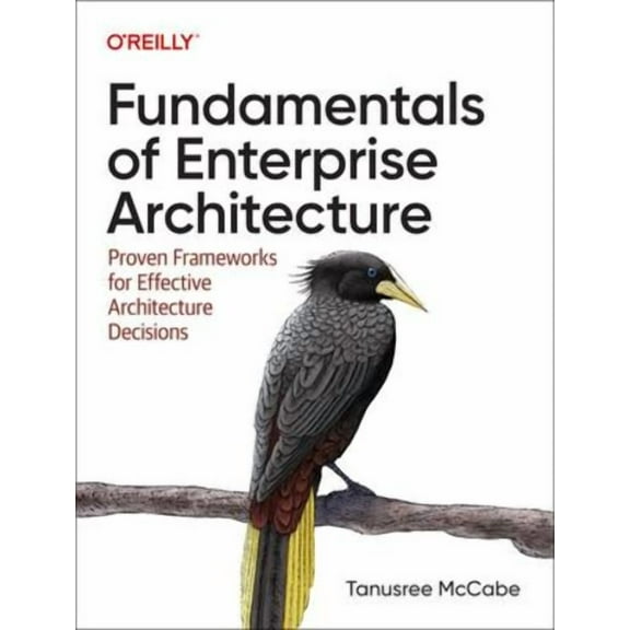 Fundamentals of Enterprise Architecture: Proven Frameworks for Effective Architecture Decisions