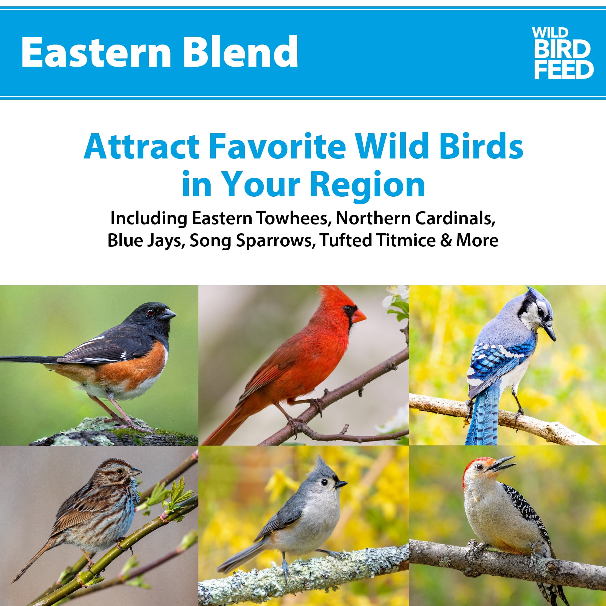 (3 pack) Eastern Regional Blend Wild Bird Food, Dry, 1 Count per Pack, 5 lb. Bag