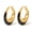 Gold&Black, variant on Chunky Enamel Hoop Earrings for Women 18K Gold Plated Colorful Huggie Earrings Jewelry Valentine's Day Gift for Girlfriend Wife