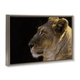 thumbnail image 4 of Stupell Industries Fierce Lion Looking Left Animals Photography Brown Floater Framed Canvas Art Print Wall Art, 31 x 21, 4 of 10