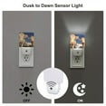 thumbnail image 3 of Cauagu Cows Cattles Print LED Nightlight,0.5W Night Lights Plug into Wall 1 Pack with Dusk-to-Dawn Light Sensor Soft Glow Lamp for Bathroom Adult Hallway-EU, 3 of 7