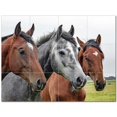 thumbnail image 1 of Horse Ceramic Tile Mural Kitchen Backsplash Bathroom Shower 402896-S43, 1 of 9