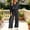 Dark Gray women two piece outfit set a1, variant on BRELIL Women's Two Piece Outfits Sets Collared Long Sleeve Shirt Wide Leg Pants Casual Lounge Matching Set Solid Boho Vacation Travel Tracksuit, Coffee M