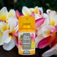 thumbnail image 3 of Sure Scents Hawaiian Automatic Spray Refills, 4.5 oz. Air Freshener, Odor Eliminator and Neutralization for Home Kitchen Bathroom Office Living Room Long Lasting Scents Pack of 5, 3 of 6