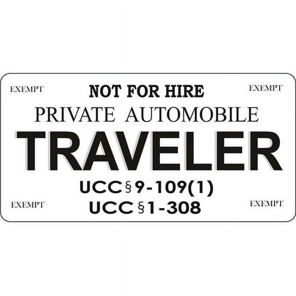 212 Main LPO7419 6 x 12 in. Right to Travel Traveler No.2 Photo License Plate