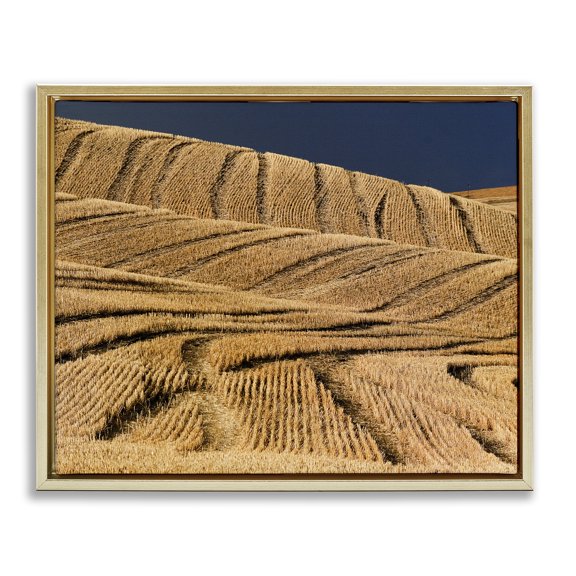 Stupell Industries Southwestern Wavy Cornfield Lines Vast Rural Field Gold Floating Frame Canvas Art, 31 x 25, by David Lorenz