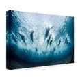 thumbnail image 3 of Trademark Fine Art Davide Lopresti Swim Canvas Wall Art - 22x32, 3 of 5