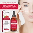 thumbnail image 3 of Huile de Rose Musquée, 100 % Pure & Naturelle Pressée à Froid Meilleure Huile Faciale 30ml, 3 of 5