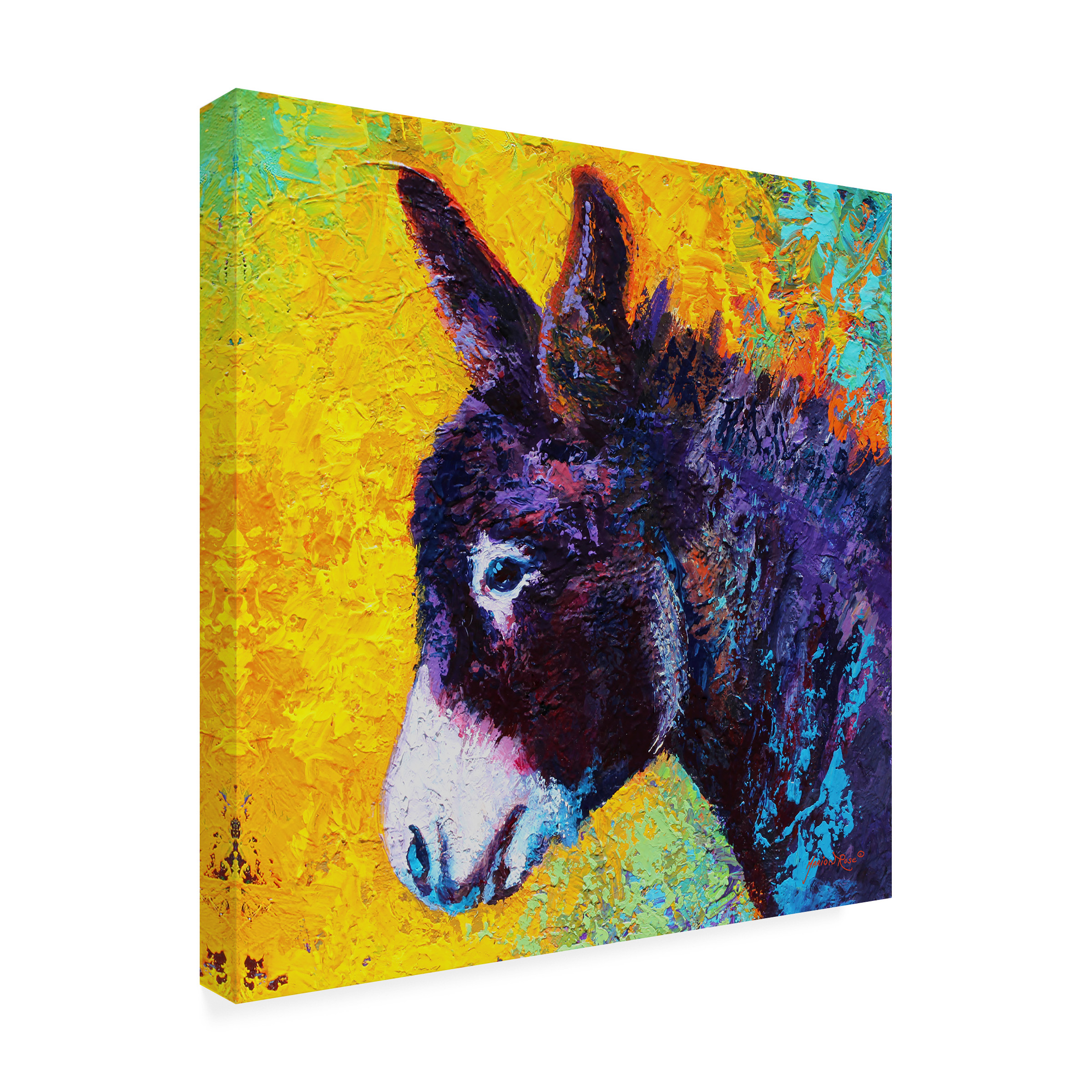 Marion Rose 'Donkey Sparky' Canvas Art