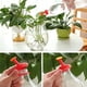 thumbnail image 4 of Aspersor con tapa de botella, aspersor de riego manual a prueba de fugas, orificios uniformemente pequeños, tapa de cabeza para jardinería de plantas y flores, 3 uds., 4 of 5