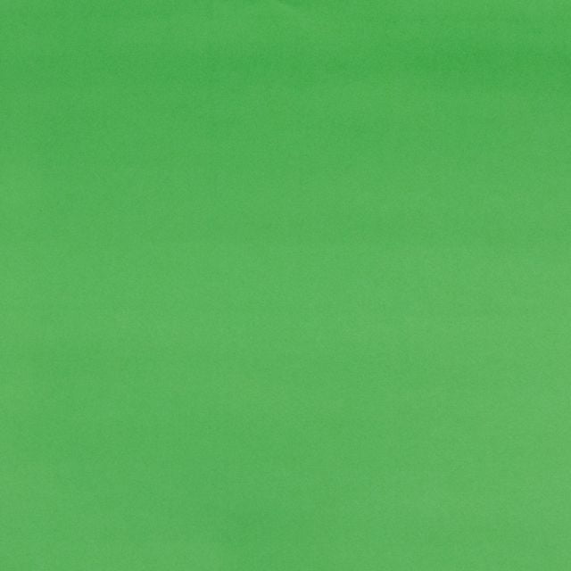 JAM Paper Matte Wrapping Paper, 52.6 Sq ft Total (17 in x 18 Ft Each), Lime Green, 2 Rolls