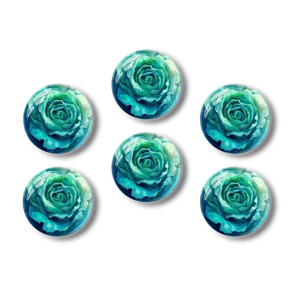 Glass Refrigerator Magnet 6Pcs Magnetic Fridge Sticker,Decor for Kitchen,Whiteboard,Cabinet,Abstract Style Turquoise Rose