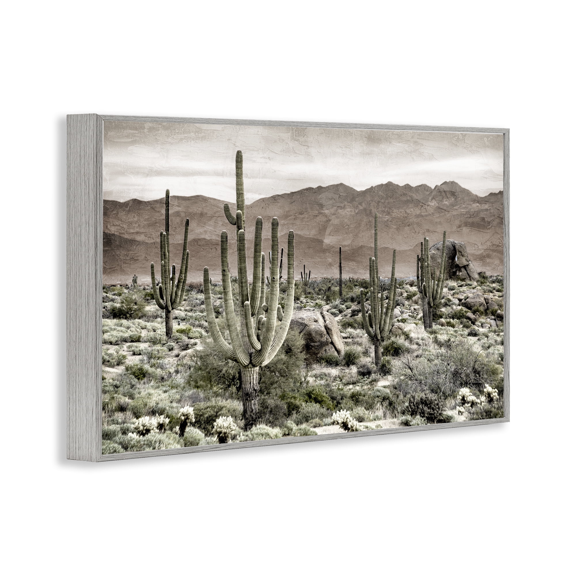 Stupell Industries Desert Land Cacti Wilderness Gray Framed Giclee Art, design by Kim Allen