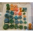 thumbnail image 4 of Zhuge Succulent Silicone Mold, Cactus Resin Mold, Candle Mold Silicone for DIY Handmade Soap, Candle, Cake Decoration - 9 Pcs, 4 of 5