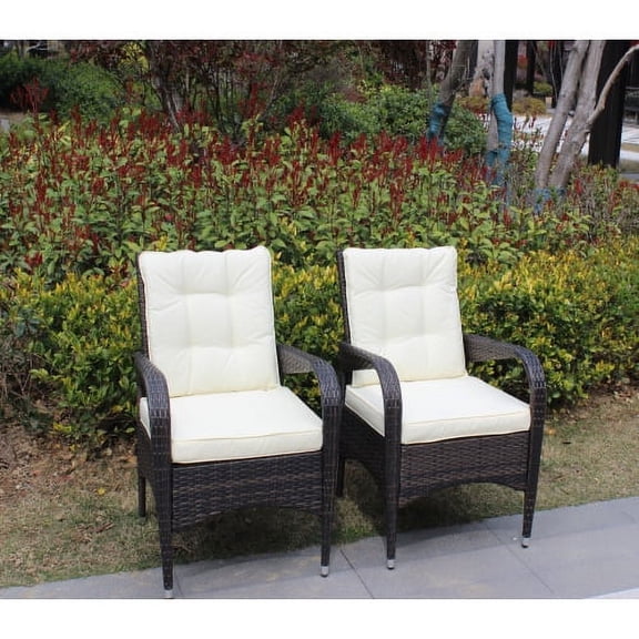 Olurrisa 2-Piece Liberatore Dining Chairs with Beige Cushions - PE Rattan & Steel Frame, 300lb Capacity, Water-Resistant Outdoor Patio Chairs