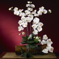 thumbnail image 1 of Nearly Natural Orchidée en Soie Phalaenopsis avec Feuilles (6 Tiges), 1 of 1
