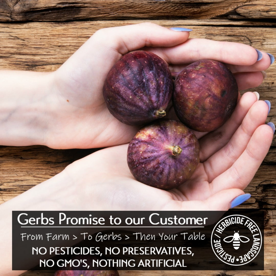 GERBS Dried Whole Figs 2 LBS. | Freshly Dehydrated Resealable Bulk Bag | Top Food Allergy Free | Sulfur Dioxide Free | Strengthen bones, packed vitamin C boost immune system | Gluten & Peanut Free