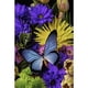thumbnail image 1 of Pintura de diamante (DE5356) mariposa 5D DIY mosaico cuadrado abalorios 30x40cm 30x40cm Hugtrwg Para estrenar, 1 of 1