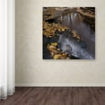 thumbnail image 4 of Trademark Fine Art "Lakeview Autumn Waterfall #2" Canvas Art by Kurt Shaffer, 4 of 4