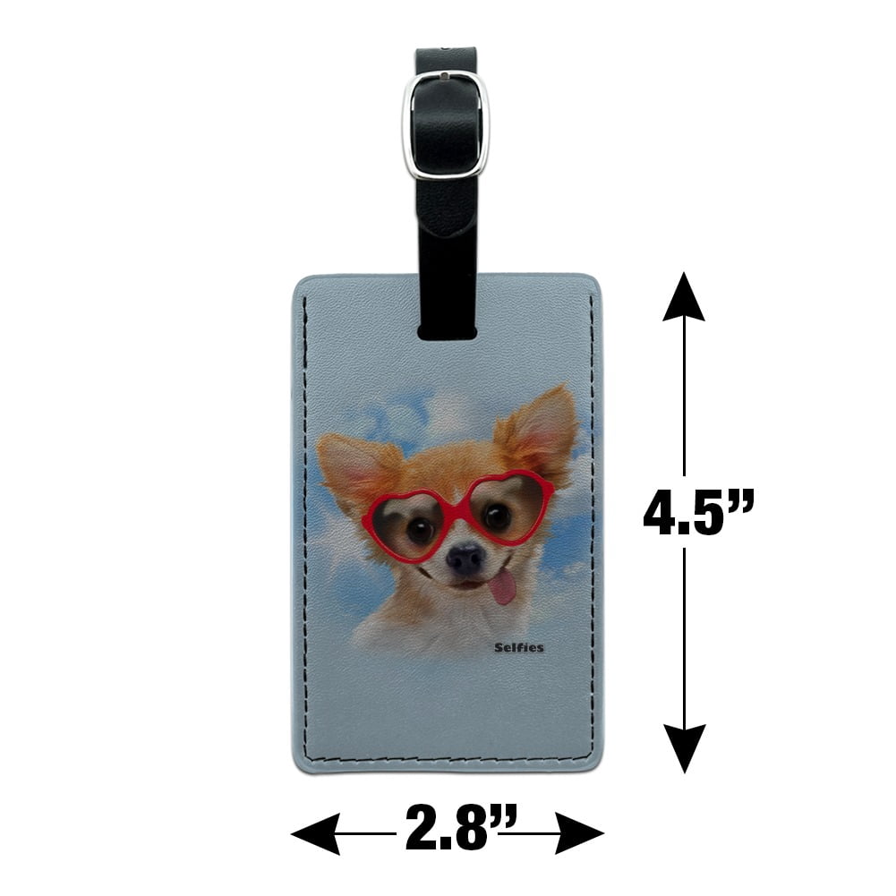 apart vision chihuahuas