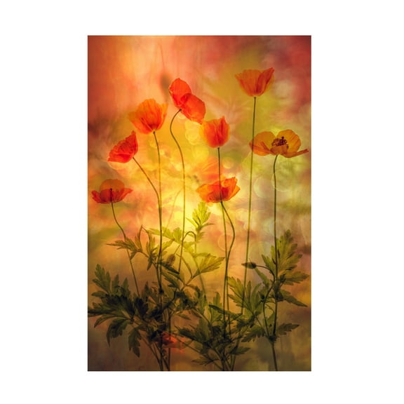 Trademark Fine Art Hilda van der Fire Canvas Wall Art