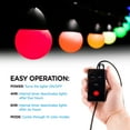 Enbrighten USB-Powered Plastic Bulb Café String Lights, 0.9 Watts, LED ...