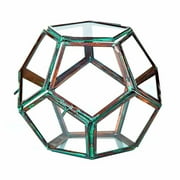 Sage & Co 5-inch x 5-inch Glass Terrarium Geodesic