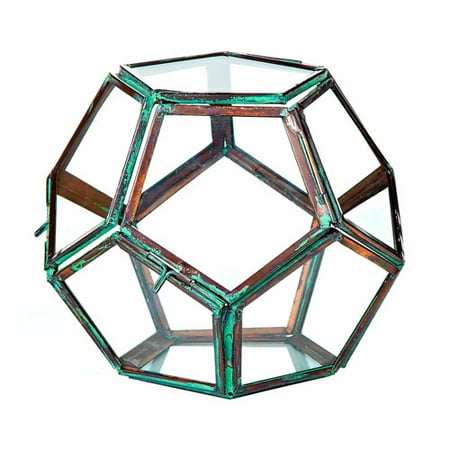 Sage & Co 5-inch x 5-inch Glass Terrarium Geodesic
