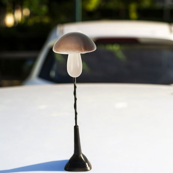 Hemoton Cute Car Antenna Topper for Decoration Multi Color Plastic Car Accessories for SUV Truck Roof