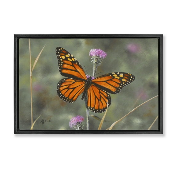 Stupell Industries Summer Visitor Butterfly Animals Photography Black Floater Framed Canvas Art Print Wall Art, 25 x 17