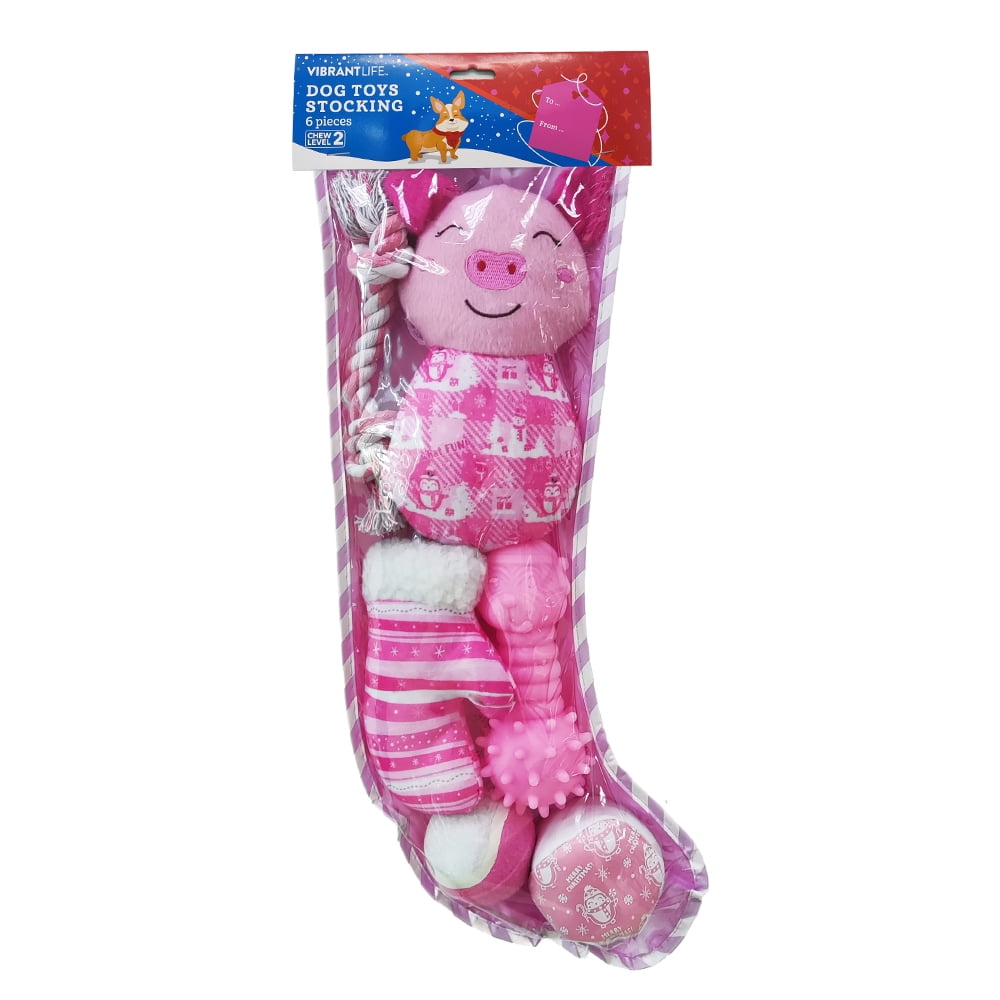 Vibrant Life Holiday 6 Piece Dog Toy Stocking Gift Set, Pink