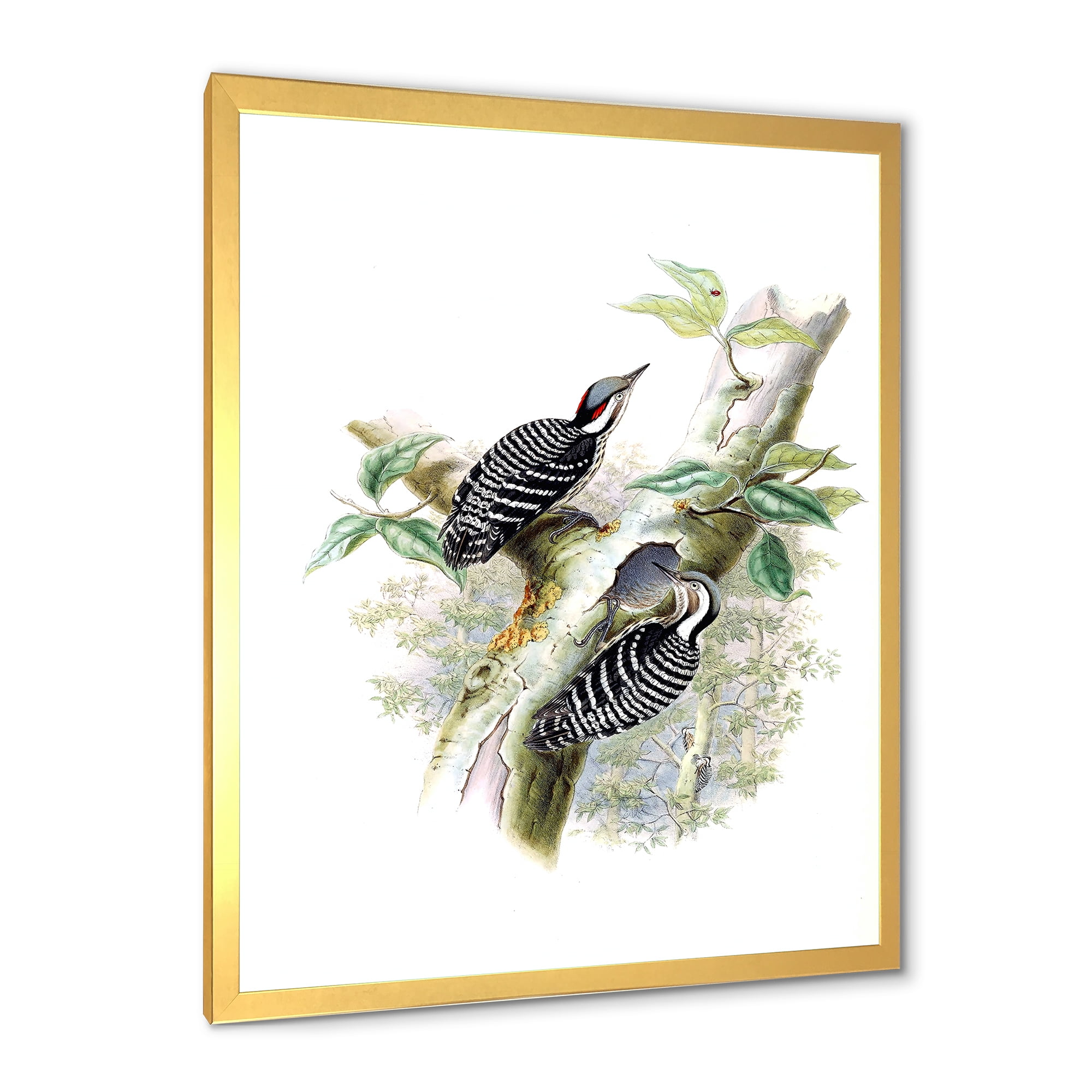 Designart 'Ancient Birds In The Wild V' Traditional Framed Art Print