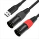 thumbnail image 4 of Cable de Audio USB A XLR, Cable de Salida USB A XLR Macho Dual, Convertidor de Cable de Audio Estéreo USB para PC para Amplificador, Altavoz de 200 cm, 4 of 5
