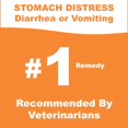 thumbnail image 3 of Whole Life Pet Nature’s Remedy Recover Plus – Bland Chicken & Rice Food with Pumpkin & Yogurt for Stomach Distress, 16oz, 3 of 6