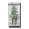 thumbnail image 1 of Epic Graffiti 'Galvanized Pot Spruce' by Cindy Jacobs, Canvas Wall Art, 20"x40", 1 of 2