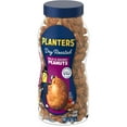 PLANTERS Dry Roasted Bold & Savory Peanuts, Party Snacks, PlantBased