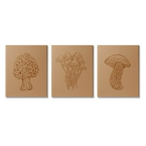 Stupell Industries Natural Cottage Mushroom Botanicals Graphic Art Gallery Wrapped Canvas Print Wall Art, Set of 3, Design by Ziwei Li
