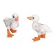 thumbnail image 1 of Modelo de Pato Blanco Ticfox 2 Piezas, 1 of 12